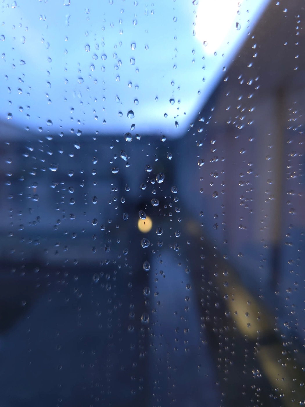 窗（Window）记忆照片